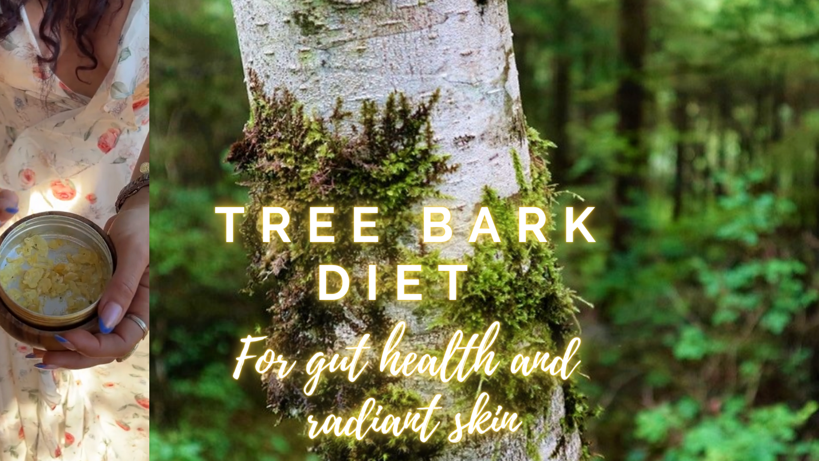 Tree Bark Diet: Gut Health & Radiant Skin | Champïone